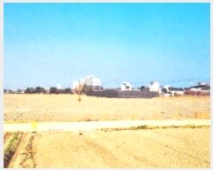  2025Ÿ��74 ���� ������ ������ 277       ����(��)���