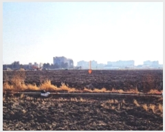  2025Ÿ��74 ���� ������ ������ 277       ����(��)���