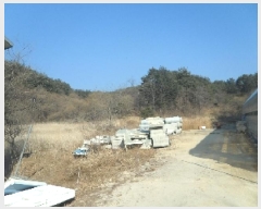  2025Ÿ��135  ������