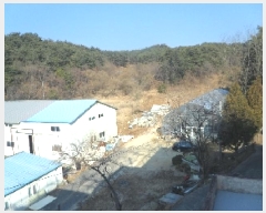  2025Ÿ��135  ������