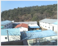  2025Ÿ��135  ������