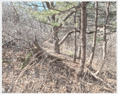  2025Ÿ��176  �Ӿ߰��