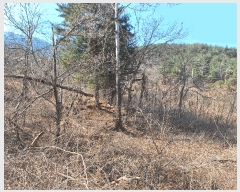  2025Ÿ��176  �Ӿ߰��