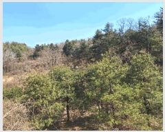  2025Ÿ��176 ���� ������ ������ ��ܸ� 944-96      ����(�Ӿ�)���