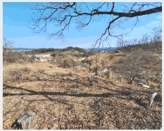  2025Ÿ��176 ���� ������ ������ ��ܸ� 944-96      ����(�Ӿ�)���