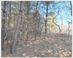  2025Ÿ��176 ���� ������ ������ ��ܸ� 944-96      ����(�Ӿ�)���