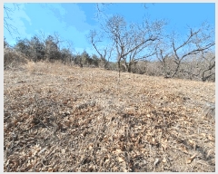  2025Ÿ��176 ���� ������ ������ ��ܸ� 944-96      ����(�Ӿ�)���