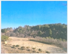  2025Ÿ��176 ���� ������ ������ ��ܸ� 944-96      ����(�Ӿ�)���