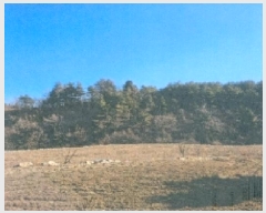  2025Ÿ��176 ���� ������ ������ ��ܸ� 944-96      ����(�Ӿ�)���