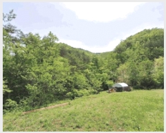  2025Ÿ��196  �Ӿ߰��