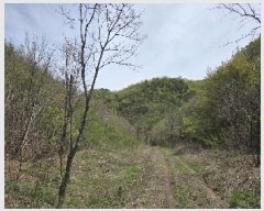  2025Ÿ��196  �Ӿ߰��