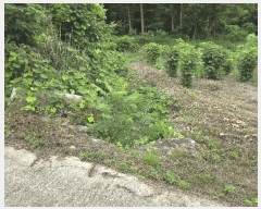  2025Ÿ��225 ���� ������ ����� ������ 407-17      ����(��1)���