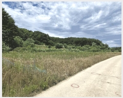  2025Ÿ��225 ���� ������ ����� ������ 407-17      ����(��1)���