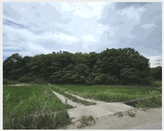  2025Ÿ��225 ���� ������ ����� ������ 407-17      ����(��1)���