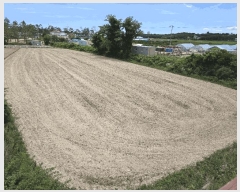  2025Ÿ��225 ���� ������ ����� ������ 407-17      ����(��1)���