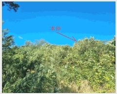  2025Ÿ��272 ���� ������ ����� ������ ��92      ����(�Ӿ�)���