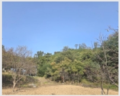  2025Ÿ��272 ���� ������ ����� ������ ��92      ����(�Ӿ�)���