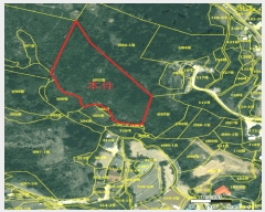  2025Ÿ��272 ���� ������ ����� ������ ��92      ����(�Ӿ�)���