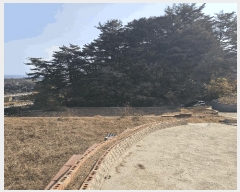  2025Ÿ��276 ���� ��ô�� �ٴ��� ��͹渮 267      ����(��1)���