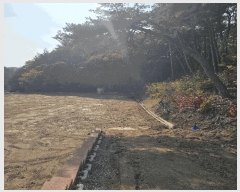  2025Ÿ��276 ���� ��ô�� �ٴ��� ��͹渮 267      ����(��1)���