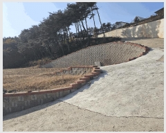  2025Ÿ��276 ���� ��ô�� �ٴ��� ��͹渮 267      ����(��1)���