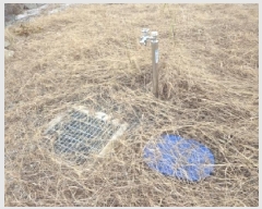  2025Ÿ��276 ���� ��ô�� �ٴ��� ��͹渮 267      ����(��1)���