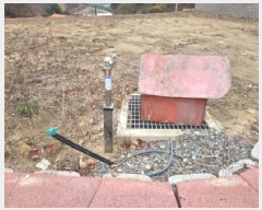  2025Ÿ��276 ���� ��ô�� �ٴ��� ��͹渮 267      ����(��1)���