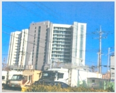  2025Ÿ30006   ֹ ֹ 59, 121203ȣ (ȣڰ)    ܵ(ȣ)