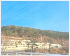  2025Ÿ30105     198-1      (Ӿ)