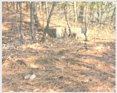  2025Ÿ30105     198-1      (Ӿ)