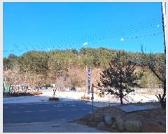  2025Ÿ��30273  �Ӿ߰��