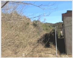  2025Ÿ��30448  �Ӿ߰��