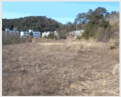  2025Ÿ��30448  �Ӿ߰��