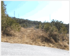  2025Ÿ��30448  �Ӿ߰��