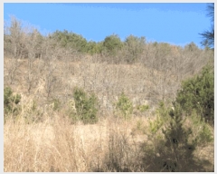  2025Ÿ��30448  �Ӿ߰��