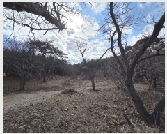  2025Ÿ��30464 ���� ������ ��õ�� ������ ��205      ����(�Ӿ�)���