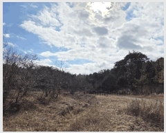  2025Ÿ��30464 ���� ������ ��õ�� ������ ��205      ����(�Ӿ�)���