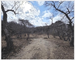  2025Ÿ��30464 ���� ������ ��õ�� ������ ��205      ����(�Ӿ�)���