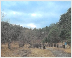  2025Ÿ��30464 ���� ������ ��õ�� ������ ��205      ����(�Ӿ�)���