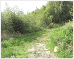  2025Ÿ��30490 ���� ���ؽ� �뱸�� 169-1       ����(��1)���