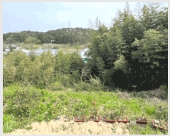  2025Ÿ��30490 ���� ���ؽ� �뱸�� 169-1       ����(��1)���