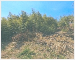  2025Ÿ��30490 ���� ���ؽ� �뱸�� 169-1       ����(��1)���