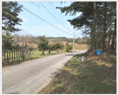  2025Ÿ��30497 ���� ������ ������ �ݱ��� 620-10      ����(����)���