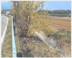  2025Ÿ��30497  �Ӿ߰��