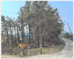  2025Ÿ��30497  �Ӿ߰��