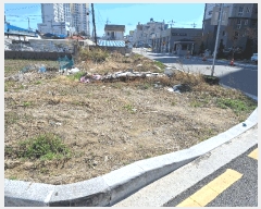  2025Ÿ��30527 ���� ������ �ֹ����� �ֹ��� 1050-4      ����(��)���