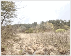  2025Ÿ��30536  ����