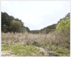  2025Ÿ��30536  ����