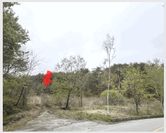  2025Ÿ��30536  ����