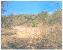  2025Ÿ��30536  ����